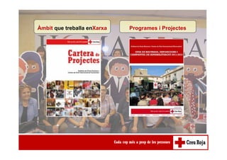 Àmbit que treballa enXarxa Programes i Projectes
 