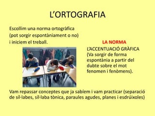 L’ORTOGRAFIA
Escollim una norma ortogràfica
(pot sorgir espontàniament o no)
i iniciem el treball. LA NORMA
L’ACCENTUACIÓ GRÀFICA
(Va sorgir de forma
espontània a partir del
dubte sobre el mot
fenomen i fenòmens).
Vam repassar conceptes que ja sabíem i vam practicar (separació
de síl·labes, síl·laba tònica, paraules agudes, planes i esdrúixoles)
 