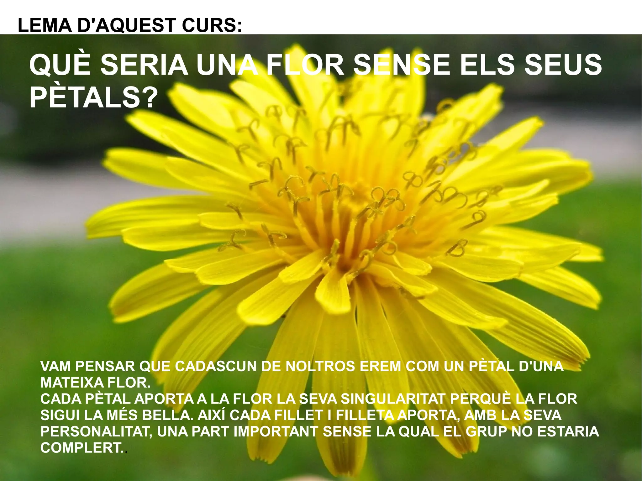 LEMA D'AQUEST CURS:

QUÈ SERIA UNA FLOR SENSE ELS SEUS
PÈTALS?

VAM PENSAR QUE CADASCUN DE NOLTROS EREM COM UN PÈTAL D'UNA
MATEIXA FLOR.
CADA PÈTAL APORTA A LA FLOR LA SEVA SINGULARITAT PERQUÈ LA FLOR
SIGUI LA MÉS BELLA. AIXÍ CADA FILLET I FILLETA APORTA, AMB LA SEVA
PERSONALITAT, UNA PART IMPORTANT SENSE LA QUAL EL GRUP NO ESTARIA
COMPLERT..

 