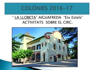 “ LA LLOBETA” AIGUAFREDA “Eix Estels”
ACTIVITATS SOBRE EL CIRC.
 