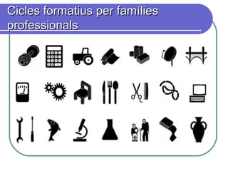 Cicles formatius per famíliesCicles formatius per famílies
professionalsprofessionals
 