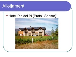 Allotjament
Hotel Pla del Pi (Prats i Sansor)
 