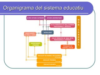 Organigrama del sistema educatiuOrganigrama del sistema educatiu
 