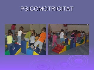 PSICOMOTRICITAT 