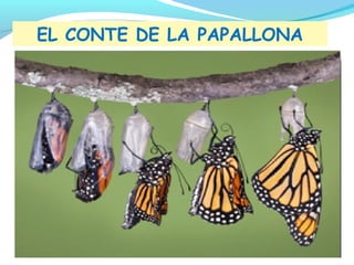EL CONTE DE LA PAPALLONA

 