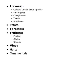 Llavors:  - Cereals (inclòs arròs i panís) Farratgeres Oleaginoses Textils Hortícoles Patata Forestals Fruiters: Fruiters Cítrics Olivera Vinya Horta Ornamentals 