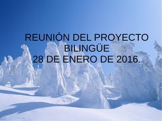 REUNIÓN DEL PROYECTO
BILINGÜE
28 DE ENERO DE 2016.
 