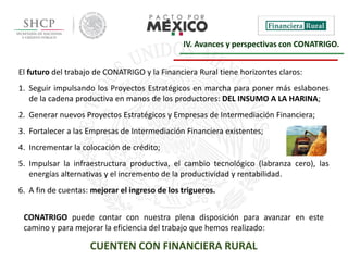 12
El futuro del trabajo de CONATRIGO y la Financiera Rural tiene horizontes claros:
1. Seguir impulsando los Proyectos Estratégicos en marcha para poner más eslabones
de la cadena productiva en manos de los productores: DEL INSUMO A LA HARINA;
2. Generar nuevos Proyectos Estratégicos y Empresas de Intermediación Financiera;
3. Fortalecer a las Empresas de Intermediación Financiera existentes;
4. Incrementar la colocación de crédito;
5. Impulsar la infraestructura productiva, el cambio tecnológico (labranza cero), las
energías alternativas y el incremento de la productividad y rentabilidad.
6. A fin de cuentas: mejorar el ingreso de los trigueros.
IV. Avances y perspectivas con CONATRIGO.
CONATRIGO puede contar con nuestra plena disposición para avanzar en este
camino y para mejorar la eficiencia del trabajo que hemos realizado:
CUENTEN CON FINANCIERA RURAL
 