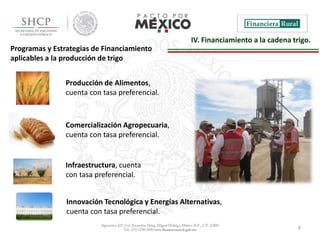 6
IV. Financiamiento a la cadena trigo.
Producción de Alimentos,
cuenta con tasa preferencial.
Comercialización Agropecuaria,
cuenta con tasa preferencial.
Programas y Estrategias de Financiamiento
aplicables a la producción de trigo
Infraestructura, cuenta
con tasa preferencial.
Innovación Tecnológica y Energías Alternativas,
cuenta con tasa preferencial.
 
