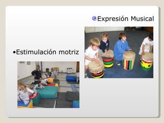 Expresión Musical




•Estimulación motriz
 