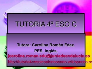 TUTORIA 4º ESO C

Tutora: Carolina Román Fdez.
PES. Inglés.
jcarolina.roman.edu@juntadeandalucia.es
http://tutoria4cesoiesalonsocano.wikispaces.co

 