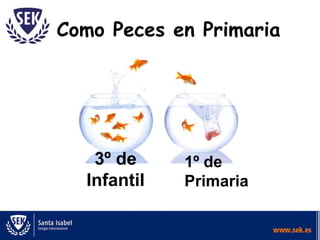 Como Peces en Primaria
3º de
Infantil
1º de
Primaria
 