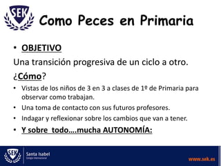 Como Peces en Primaria
• OBJETIVO
Una transición progresiva de un ciclo a otro.
¿Cómo?
• Vistas de los niños de 3 en 3 a clases de 1º de Primaria para
observar como trabajan.
• Una toma de contacto con sus futuros profesores.
• Indagar y reflexionar sobre los cambios que van a tener.

• Y sobre todo….mucha AUTONOMÍA:

 