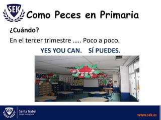 Como Peces en Primaria
¿Cuándo?
En el tercer trimestre ….. Poco a poco.
YES YOU CAN. SÍ PUEDES.

 