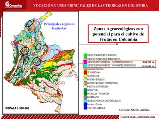 Investigacion en Fruticultura Colombiana CORPOICA