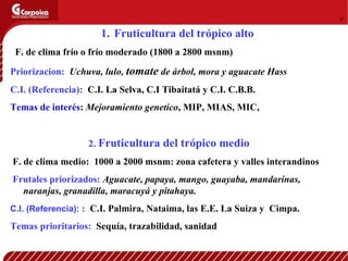 Investigacion en Fruticultura Colombiana CORPOICA