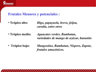 Investigacion en Fruticultura Colombiana CORPOICA