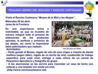 YEGUADA HIERRO DEL BOCADO Y RANCHO CORTESANO
Visita al Rancho Cortesano “Museo de la Miel y las Abejas”.
Miércoles 29 de abril.
Jerez de la Frontera.
Es una experiencia única e
inolvidable, ya que se muestra de
manera integral todo el proceso de
elaboración de los productos
apícolas, la perfecta y armónica de
las abejas, así como la importante
labor polinizadora que realizan.
Actividades:
- Visita guiada al Museo, regalo de vela de cera virgen o maceta de planta
melífera (según taller), regalo de un tarrito de miel, cuadernillo de trabajo
específico para cada nivel, entrega a cada niño/a de un carnet de
Pequeño/a Apicultor/a y fotografía de grupo
- A los alumnos/as se les servirá para merendar un vaso de leche con
colacao y una tostada con aceite y/o miel.
(http://www.ranchocortesano.net)
Haz clic para ver Vídeo
 