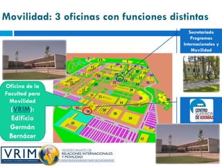 Movilidad: 3 oficinas con funciones distintas
                                          Secretariado
                                           Programas
                                       Internacionales y
                                           Movilidad




Oficina de la
Facultad para
 Movilidad
 (VRIM):
  Edificio
 Germán
 Bernácer
 