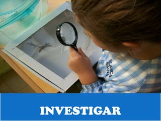 INVESTIGAR
 