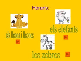 Horaris: els lleons i lleones les zebres els elefants 