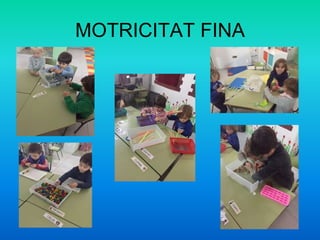 MOTRICITAT FINA
 