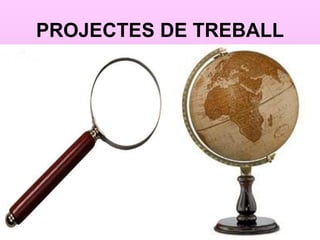 PROJECTES DE TREBALL
 
