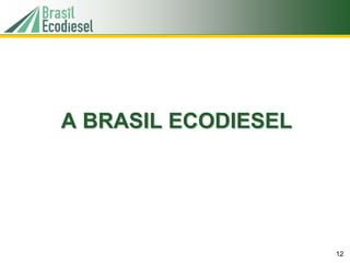 A BRASIL ECODIESEL




                     12
 