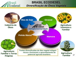 BRASIL ECODIESEL
                            Diversificação de Óleos Vegetais
                            Diversificação    Óleos




                      Óleo de Soja                Girassol

    Indústria de                                                    Agricultura
       Óleos                                                        Intensiva e
                               Complementaridade                     Familiar

                    Pinhão Manso
                                                     Mamona




                    Fontes diversificadas de óleo vegetal mitigam
  Agricultura
                        riscos e favorecem o aproveitamento do      Agricultura
Familiar e Terras             potencial agrícola brasileiro.
   Próprias                                                          Familiar     27
 