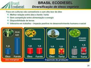 BRASIL ECODIESEL
                           Diversificação de óleos vegetais
Foco em culturas não comestíveis e com alto teor de óleo
   Melhor relação entre óleo e farelo / torta
   Sem competição entre alimentação e energia
   Disponibilidade de terras
   Intensiva em trabalho – impacto positivo no desenvolvimento humano e social



        SOJA
        4,0

                           GIRASSOL              MAMONA                PINHÃO
                                                                       MANSO

                                                                          1,5
1,0                  1,0        1,0        1,0     1,0           1,0



Óleo   Farelo       Óleo      Farelo      Óleo     Torta        Óleo    Torta
Uso marginal                           Expansão da produção

                                                                                 29
 