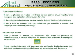 BRASIL ECODIESEL
                         Nosso Biodiesel e o Meio Ambiente

Vantagens adicionais
   mamona plantada em regiões semi-áridas, de solo pobre e chuva irregular, terras
 impróprias para agricultura intensiva, sem florestas
   disponibilidade abundante de força de trabalho desempregada ou sub-empregada
   óleo e torta de mamona não são comestíveis por humanos e animais, sem
 competição entre alimentação e energia



Perspectivas futuras
    se e quando o metanol for substituído pelo etanol no processo de
 transesterificação, o balanço energético do biodiesel feito de óleo de mamona pode
 ser superior a
                                      40:1

   uma relação ainda maior será observada com a utilização de pinhão manso, pois
 se trata de planta perene com produtividade por hectare superior à da mamona


                                                                                  36
 
