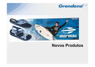 41




Novos Produtos
 