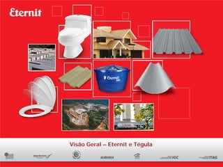 Visão Geral – Eternit e Tégula
 