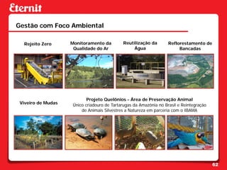 Gestão com Foco Ambiental

  Rejeito Zero      Monitoramento da        Reutilização da        Reflorestamento de
                     Qualidade do Ar             Água                   Bancadas




                           Projeto Quelônios - Área de Preservação Animal
 Viveiro de Mudas   Único criadouro de Tartarugas da Amazônia no Brasil e Reintegração
                        de Animais Silvestres a Natureza em parceria com o IBAMA




                                                                                         62
 