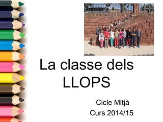 La classe dels 
LLOPS 
Cicle Mitjà 
Curs 2014/15 
 