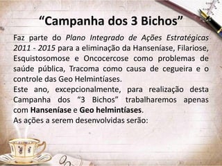 “Campanha dos 3 Bichos”
Faz parte do Plano Integrado de Ações Estratégicas
2011 - 2015 para a eliminação da Hanseníase, Filariose,
Esquistosomose e Oncocercose como problemas de
saúde pública, Tracoma como causa de cegueira e o
controle das Geo Helmintíases.
Este ano, excepcionalmente, para realização desta
Campanha dos “3 Bichos” trabalharemos apenas
com Hanseníase e Geo helmintíases.
As ações a serem desenvolvidas serão:

 