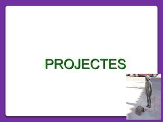 PROJECTES
 