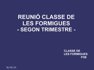 REUNIÓ CLASSE DE LES FORMIGUES - SEGON TRIMESTRE - CLASSE DE LES FORMIGUES   P3B 