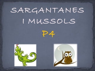 SARGANTANES
I MUSSOLS
P4
 
