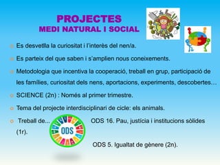 PROJECTES
MEDI NATURAL I SOCIAL
 Es desvetlla la curiositat i l’interès del nen/a.
 Es parteix del que saben i s’amplien nous coneixements.
 Metodologia que incentiva la cooperació, treball en grup, participació de
les famílies, curiositat dels nens, aportacions, experiments, descobertes…
 SCIENCE (2n) : Només al primer trimestre.
 Tema del projecte interdisciplinari de cicle: els animals.
 Treball de... ODS 16. Pau, justícia i institucions sòlides
(1r).
ODS 5. Igualtat de gènere (2n).
 