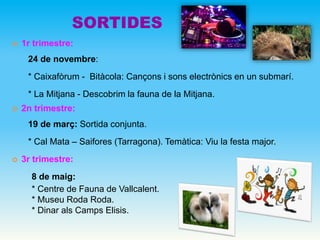 SORTIDES
 1r trimestre:
24 de novembre:
* Caixafòrum - Bitàcola: Cançons i sons electrònics en un submarí.
* La Mitjana - Descobrim la fauna de la Mitjana.
 2n trimestre:
19 de març: Sortida conjunta.
* Cal Mata – Saifores (Tarragona). Temàtica: Viu la festa major.
 3r trimestre:
8 de maig:
* Centre de Fauna de Vallcalent.
* Museu Roda Roda.
* Dinar als Camps Elisis.
 