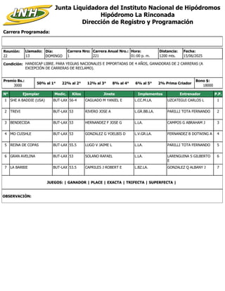 Carrera Programada:
Junta Liquidadora del Instituto Nacional de Hipódromos
Hipódromo La Rinconada
Dirección de Registro y ...