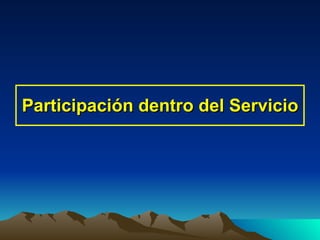 Participación dentro del Servicio 