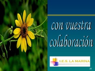 con vuestra  colaboración 