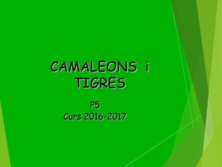 CAMALEONS iCAMALEONS i
TIGRESTIGRES
P5P5
Curs 2016-2017Curs 2016-2017
 