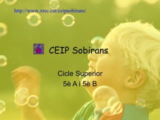 CEIP Sobirans Cicle Superior 5è A i 5è B http://www.xtec.cat/ceipsobirans/ 