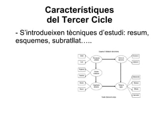 Característiques del Tercer Cicle - S’introdueixen tècniques d’estudi: resum, esquemes, subratllat….. 