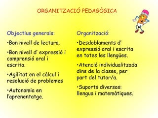 ORGANITZACIÓ PEDAGÒGICA Objectius generals: Bon nivell de lectura. Bon nivell d’ expressió i comprensió oral i escrita. Agilitat en el càlcul i resolució de problemes Autonomia en  l’aprenentatge. Organització: Desdoblaments d’ expressió oral i escrita en totes les llengües. Atenció individualitzada dins de la classe, per part del tutor/a. Suports diversos: llengua i matemàtiques. 
