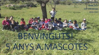 BENVINGUTS!
5 ANYS A.MASCOTES
REUNIÓ PARES METODOLOGIA
MARÇ 2017
CEIP CAN MISSES
2016-2017
 