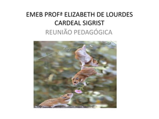 EMEB PROFª ELIZABETH DE LOURDES
CARDEAL SIGRIST
REUNIÃO PEDAGÓGICA
 